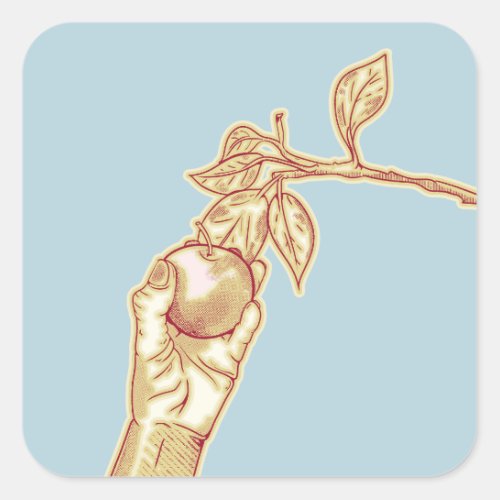 Apple picking harvest square sticker