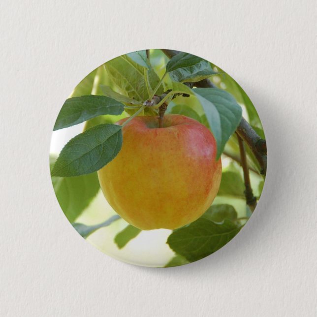 Apple Prima Button (Front)