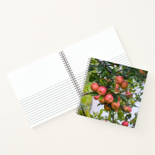 Apple Sauce Recipe Notebook (Inside)