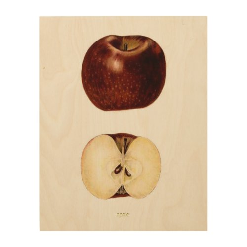 Apple Slice 11 x 14 Wood Wall Art