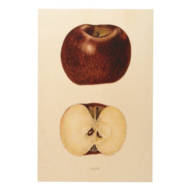 Apple Slice 24" x 36" Wood Wall Decor (Front)