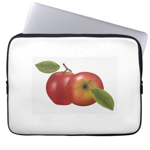 Apple Tablet and Laptop Case