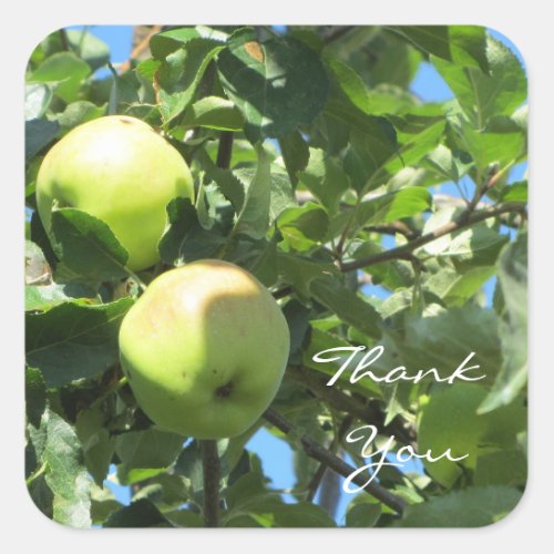 Apple Thank You Square Sticker