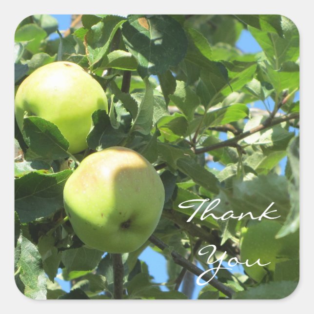 Apple Thank You Square Sticker (Front)