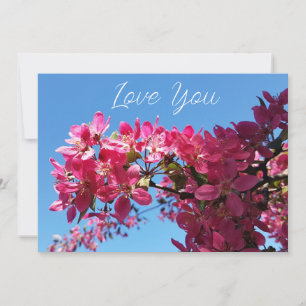 Apple tree blooming. Pink flowers. Love You Holiday Card