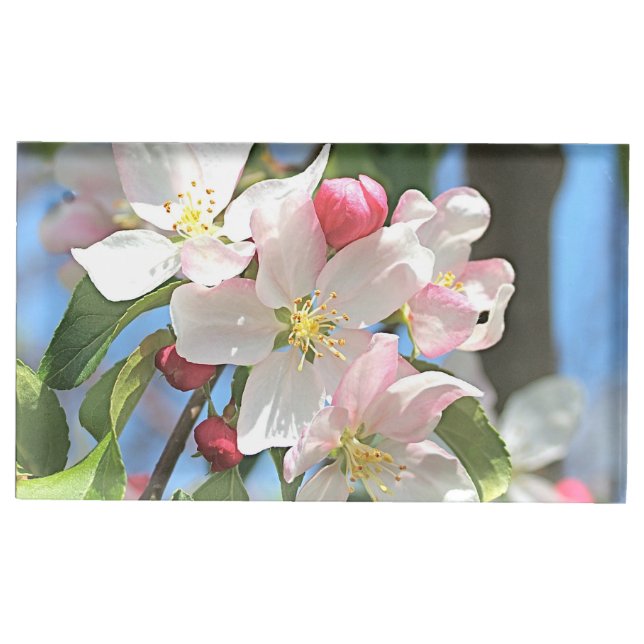 Apple Tree Blossom Flowers Place Card Holder (Front)
