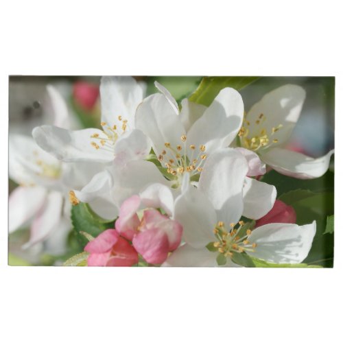 Apple Tree Blossom Flowers Place Card Holder