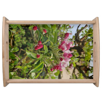 Apple tree blossom  serving tray