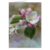 Apple Tree Blossoms (Front)