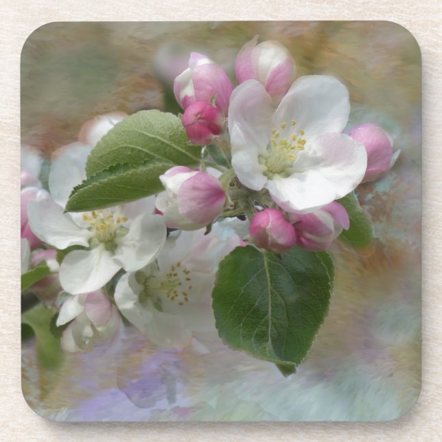 Apple Tree Blossoms Drink Coaster (Front)