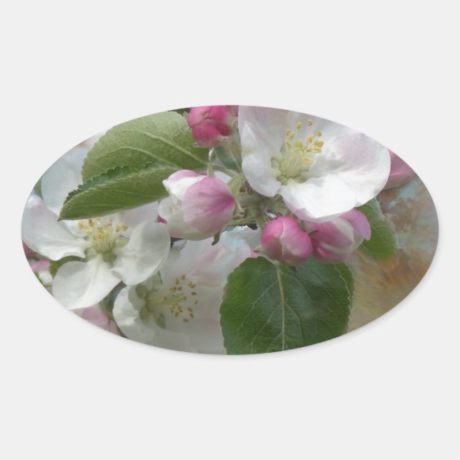 Apple Tree Blossoms Oval Sticker (Front)
