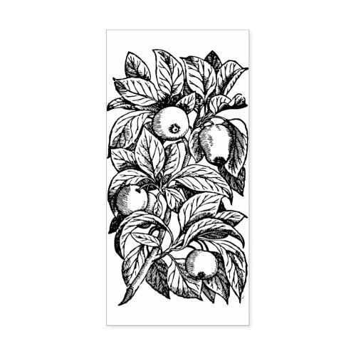 Apple Tree Branch   Rubber Stamp