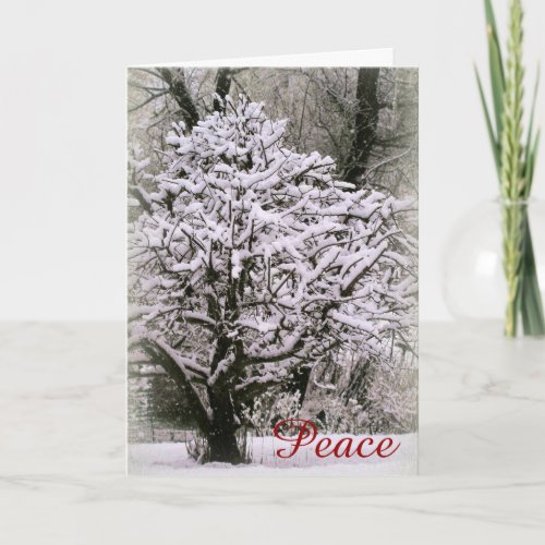 Apple tree covered in snow holiday card