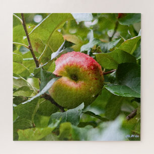 apple tree difficult green forest full season  jigsaw puzzle