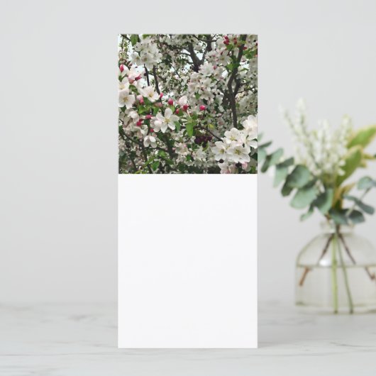 Apple Tree In Bloom (Standing Front)