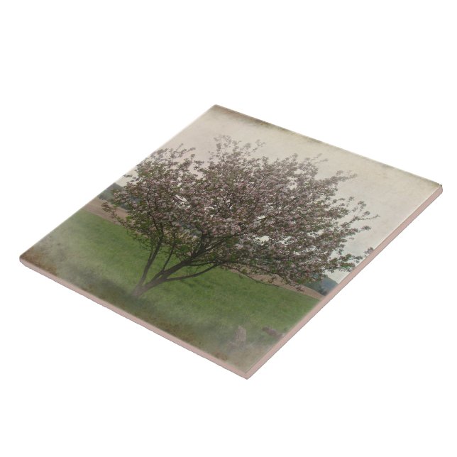 Apple Tree in Bloom Ceramic Tile (Side)