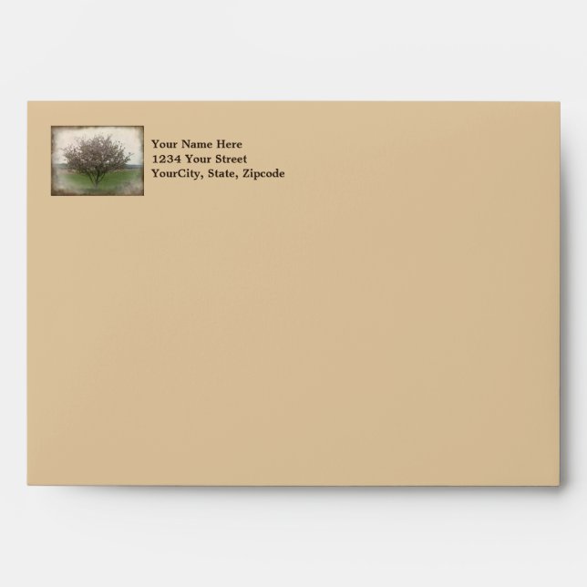 Apple Tree in Bloom Envelope (Front)