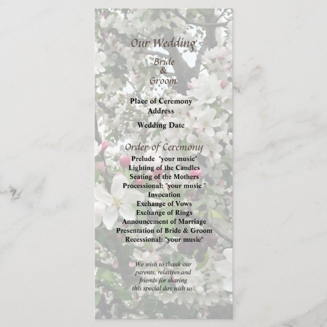 Apple Tree In Bloom Wedding Program (Front)