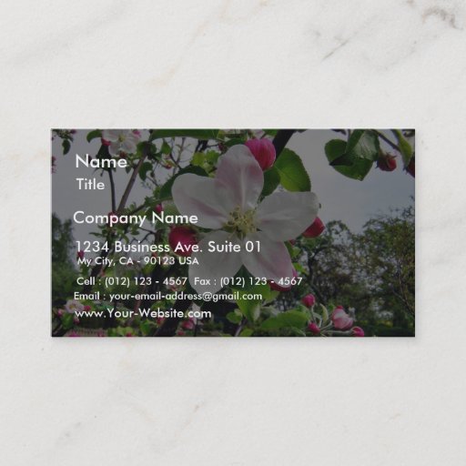 Customizable Apple Tree In Blossom Business Card