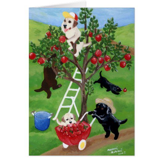Apple Tree Labradors Cards (Front)