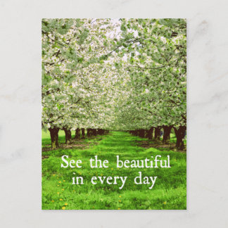 Apple Trees Blossoms with Inspirational Quote Postcard