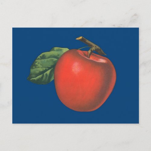 Apple vintage fruit illustration postcard