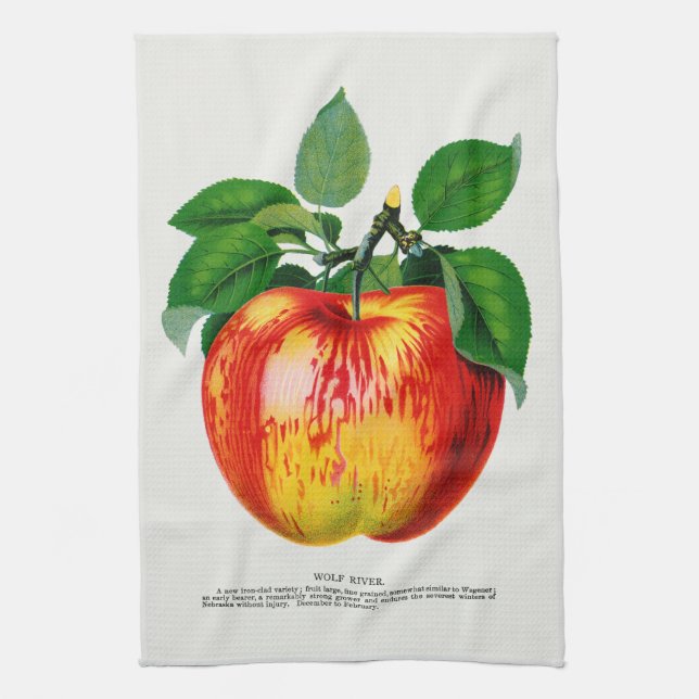 Apple Vintage Illustration Kitchen Towel (Vertical)