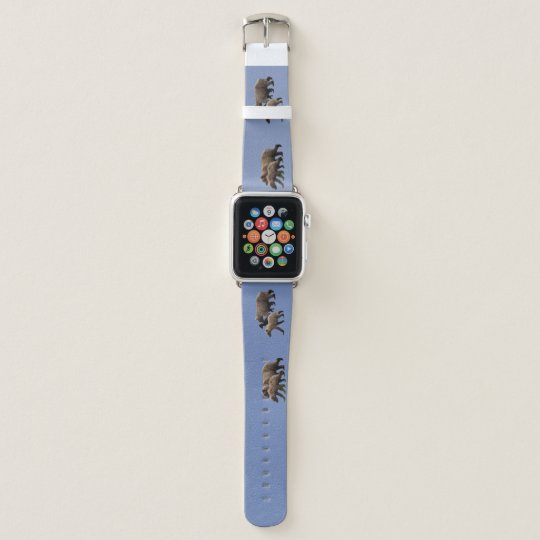 cubs apple watch band