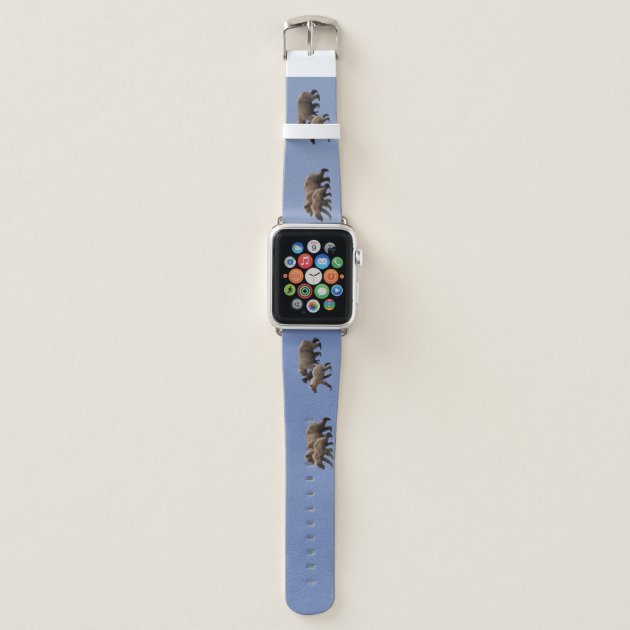 cubs apple watch band