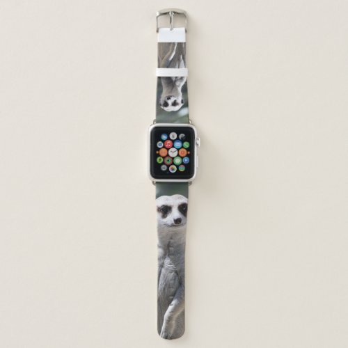 Apple Watch Band wBeautiful Mongoose
