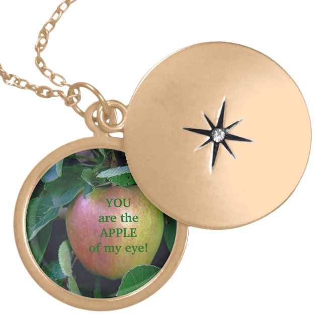 APPLE, "YOU ARE THE APPLE OF MY EYE" GOLD PLATED NECKLACE (Front)
