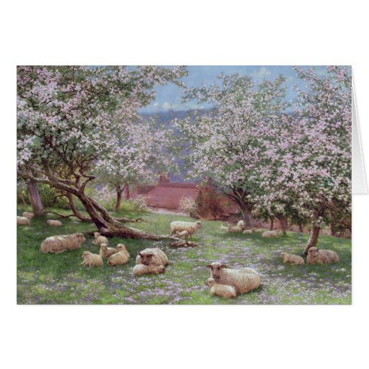 Appleblossom Cards (Front Horizontal)