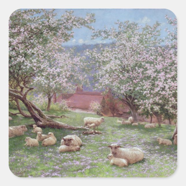 Appleblossom Square Sticker (Front)