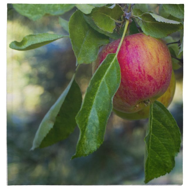 Apples 1 napkin (Front)
