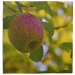 Apples 2 cloth napkin