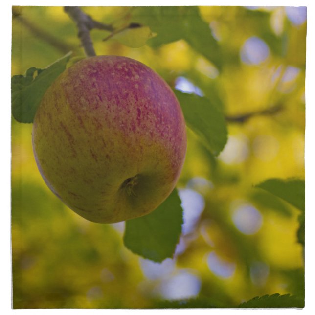 Apples 2 cloth napkin (Front)