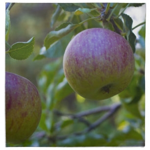 Apples 4 cloth napkin