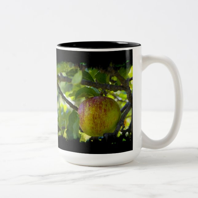 Apples 6 Grungy Black Two-Tone Coffee Mug (Right)