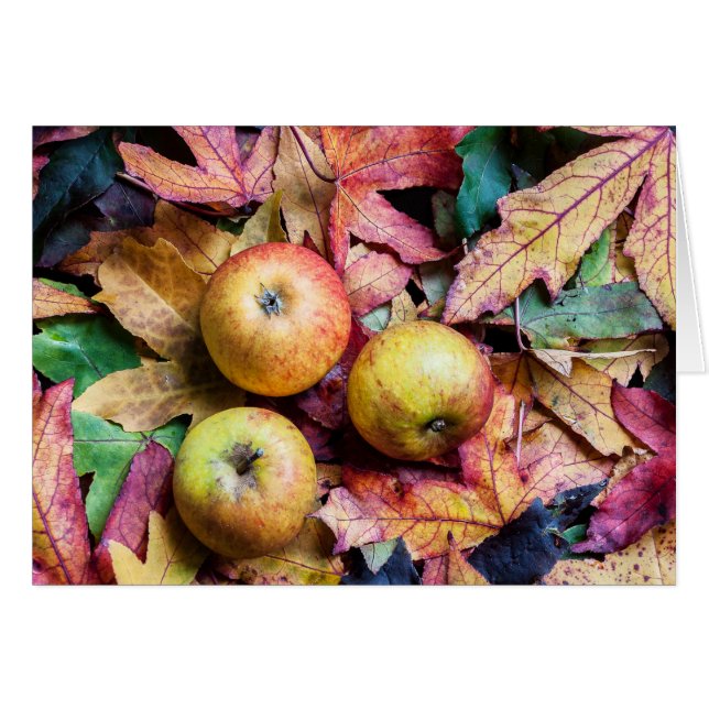 Apples and autumn leaves blank cards (Front Horizontal)