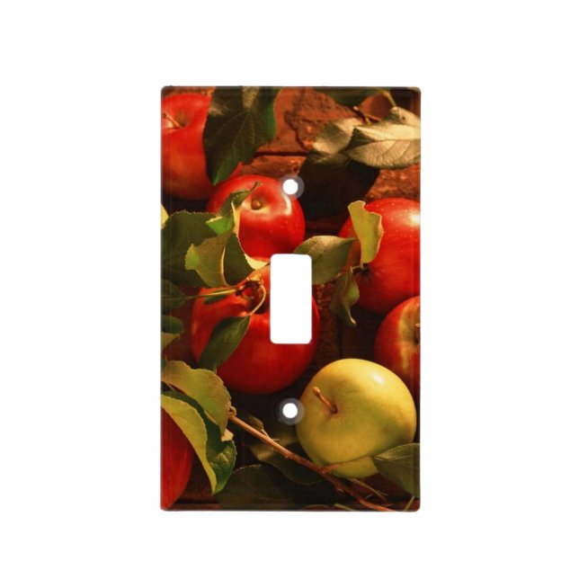 Apples Autumn Kitchen Light Switch Plate Cover (Front)