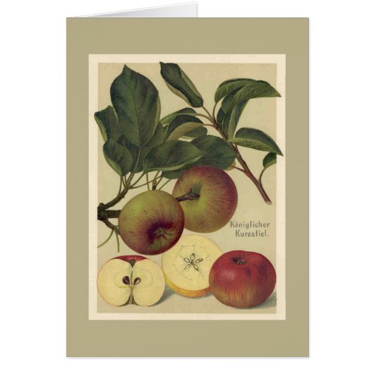 Apples Botanical Fruit Cards (Front)