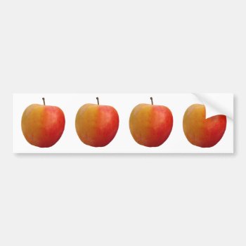 Apples Bumper Sticker by Impactzone at Zazzle