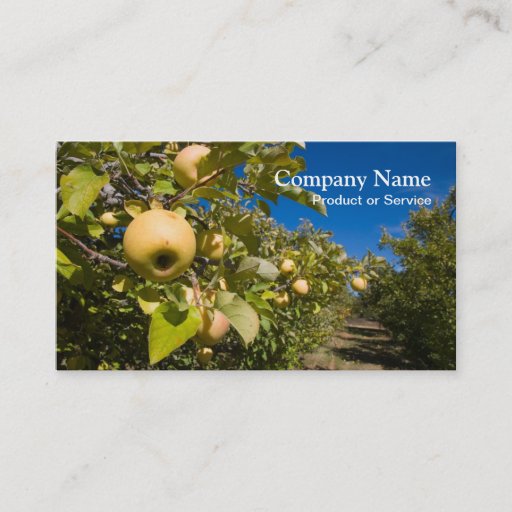 Customizable Apples business card