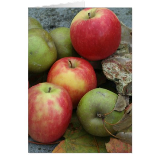 apples cards (Front)