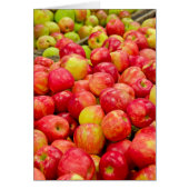 Apples Cards (Front)