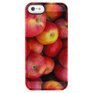 APPLES case