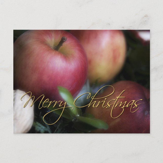 Apples • Christmas Postcard (Front)