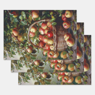 Apples in a Basket Still Life Painting Decoupage Wrapping Paper Sheets