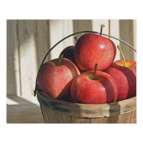 Apples in Bushel Basket Faux Canvas Print