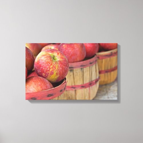 apples in bushel baskets canvas print